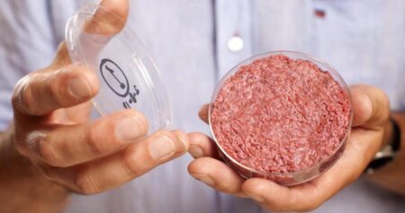 World's 1st cell-base/cultivated/cultured hamburger in a petri dish