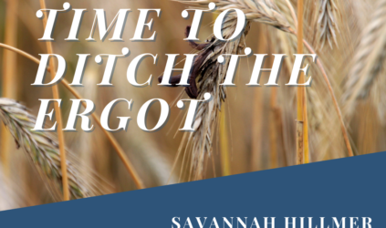 close up of ergot in wheat with text 'Time to ditch the ergot'
