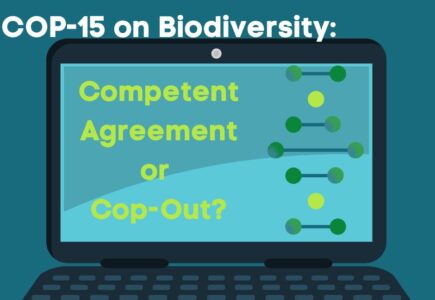 Outcomes from COP-15 on Biodiversity: Competent Agreement or Cop-Out?