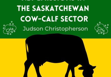 What Impact Does Cattle Production in Saskatchewan Have on Climate Change?