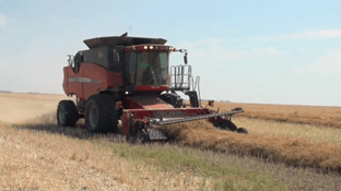 Let's Talk Farming: What's the Scoop on Harvesting and Grain Storage? 2