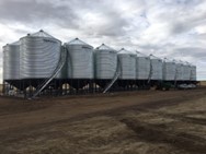 Let's Talk Farming: What's the Scoop on Harvesting and Grain Storage? 5