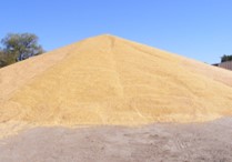Let's Talk Farming: What's the Scoop on Harvesting and Grain Storage? 4