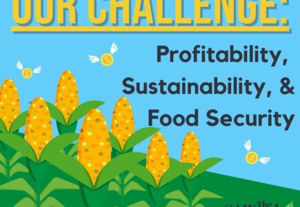 Economic Profitability, Environmental Sustainability, and Food Security