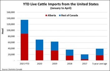 Live cattle imports, graph