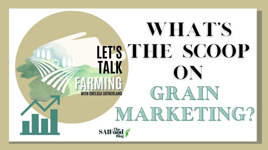 #LTF - What's the Scoop on Grain Marketing?