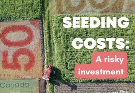 Seeding Costs – A Risky Investment