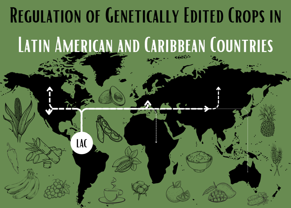 Regulation of genetically edited crops in Latin American and Caribbean countries