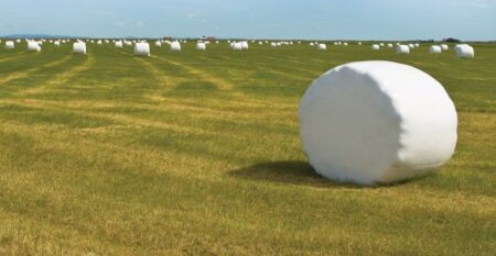 a field of wrapped silage bales
