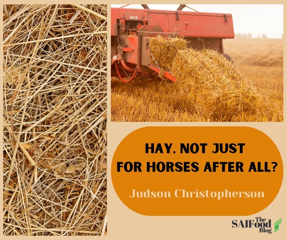 Hay, not just for horses after all