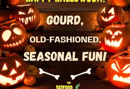 Gourd, Old-fashioned, Seasonal Fun!