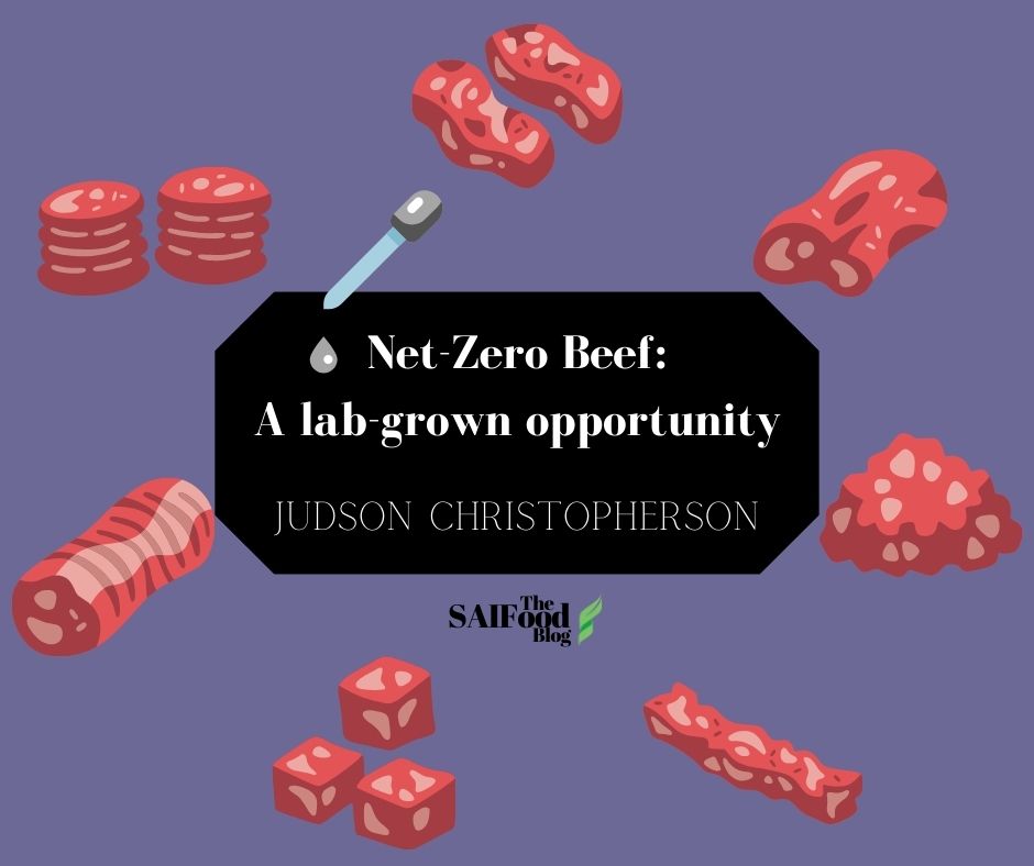 Net Zero Beef: a lab grown opportunity