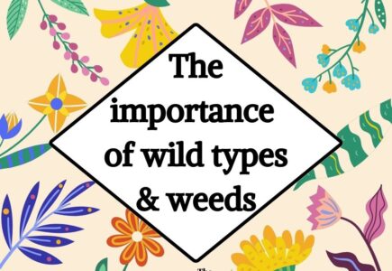 The Importance of Wild Types and Weeds for Genomics Research