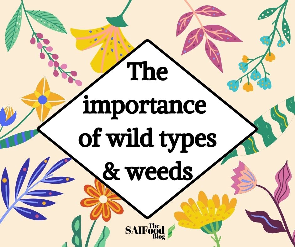The importance of wild types and weeds