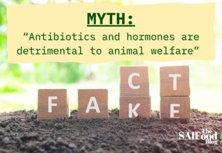 Livestock Antibiotics and Hormones: What Role do They Play?