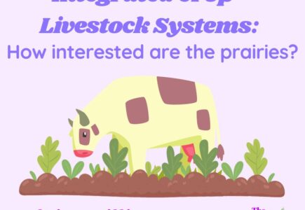 Integrated Crop-Livestock Systems: How Interested are the Prairies?
