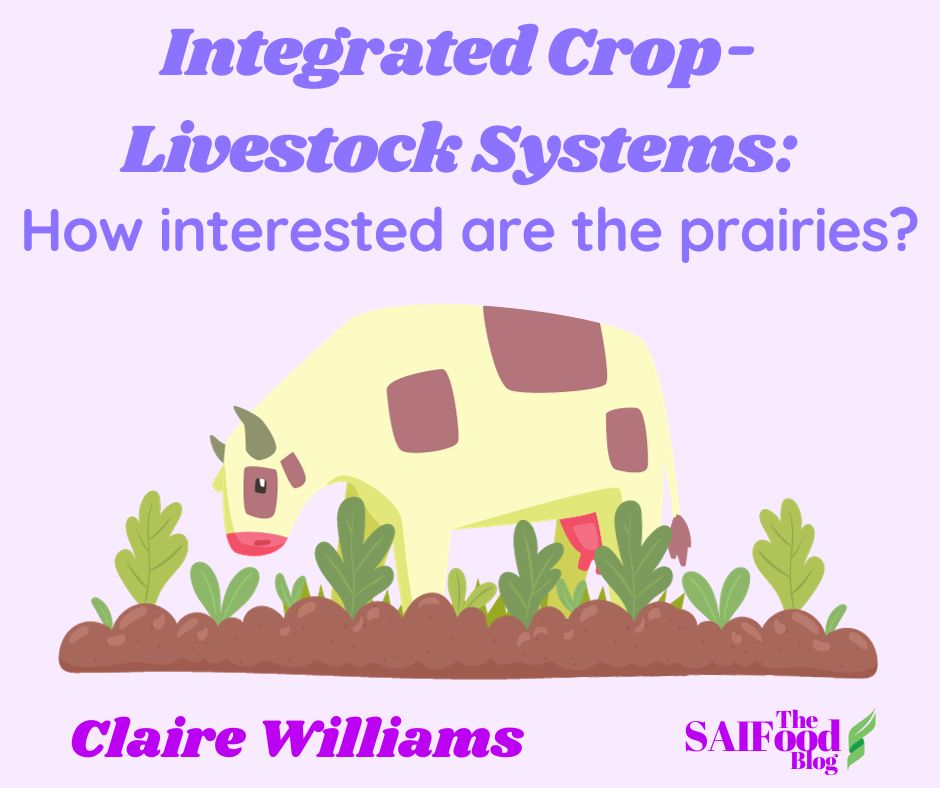 Integrated crop-livesteock systems: How interested are the prairies?