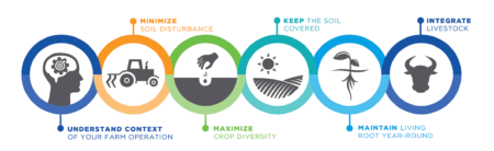The 6 principles of regenerative agriculture