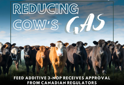 Feed additive 3-NOP receives approval from Canadian regulators