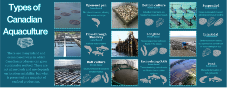 Brief summary of aquaculture types in Canada