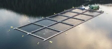 A ten-pen, open-net pen salmon farm in Discovery Islands waters
