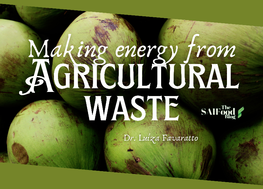 Making energy from Agricultural Waste