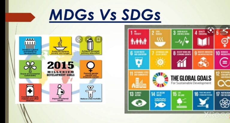 The Conflict Between the Sustainable Development Goals and Environmental Activists 2