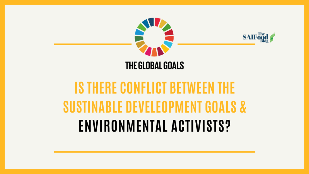 SDG UN logo "Is there conflict between SDGoals & ENGOs?"