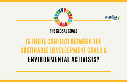 The Conflict Between the Sustainable Development Goals and Environmental Activists