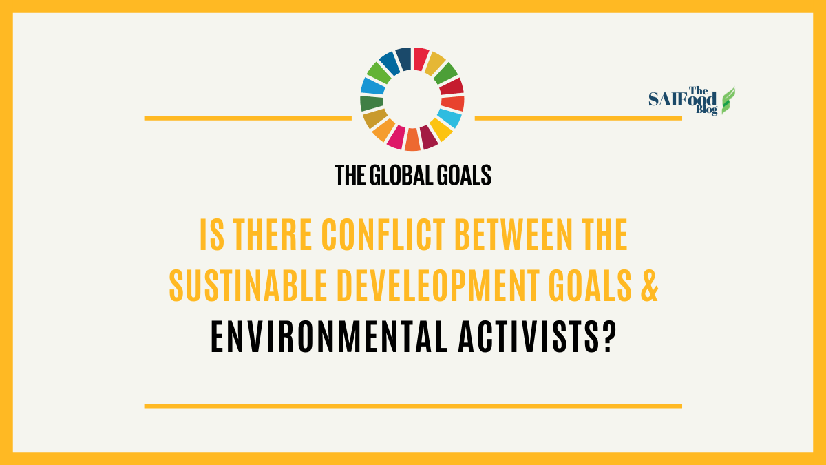 The Conflict Between the Sustainable Development Goals and Environmental Activists