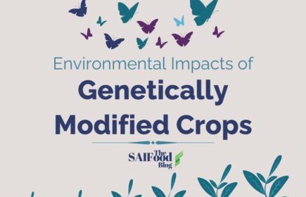 Direct and Indirect Environmental Impacts of GM Crops