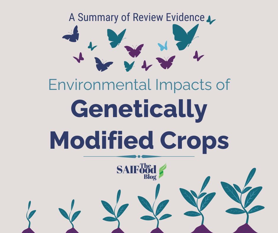 Environmental impacts of Genetically Modified Crops