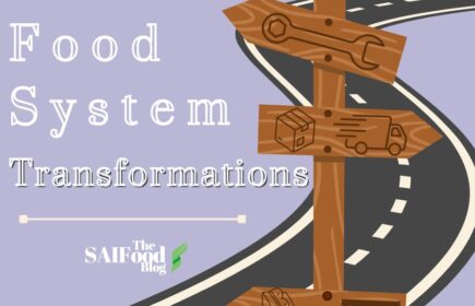 Food System Transformations