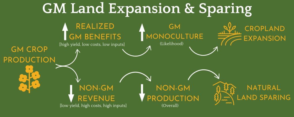 Direct and Indirect Environmental Impacts of GM Crops 2