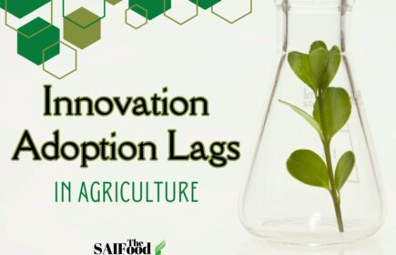 Innovation Adoption Lags in Agriculture