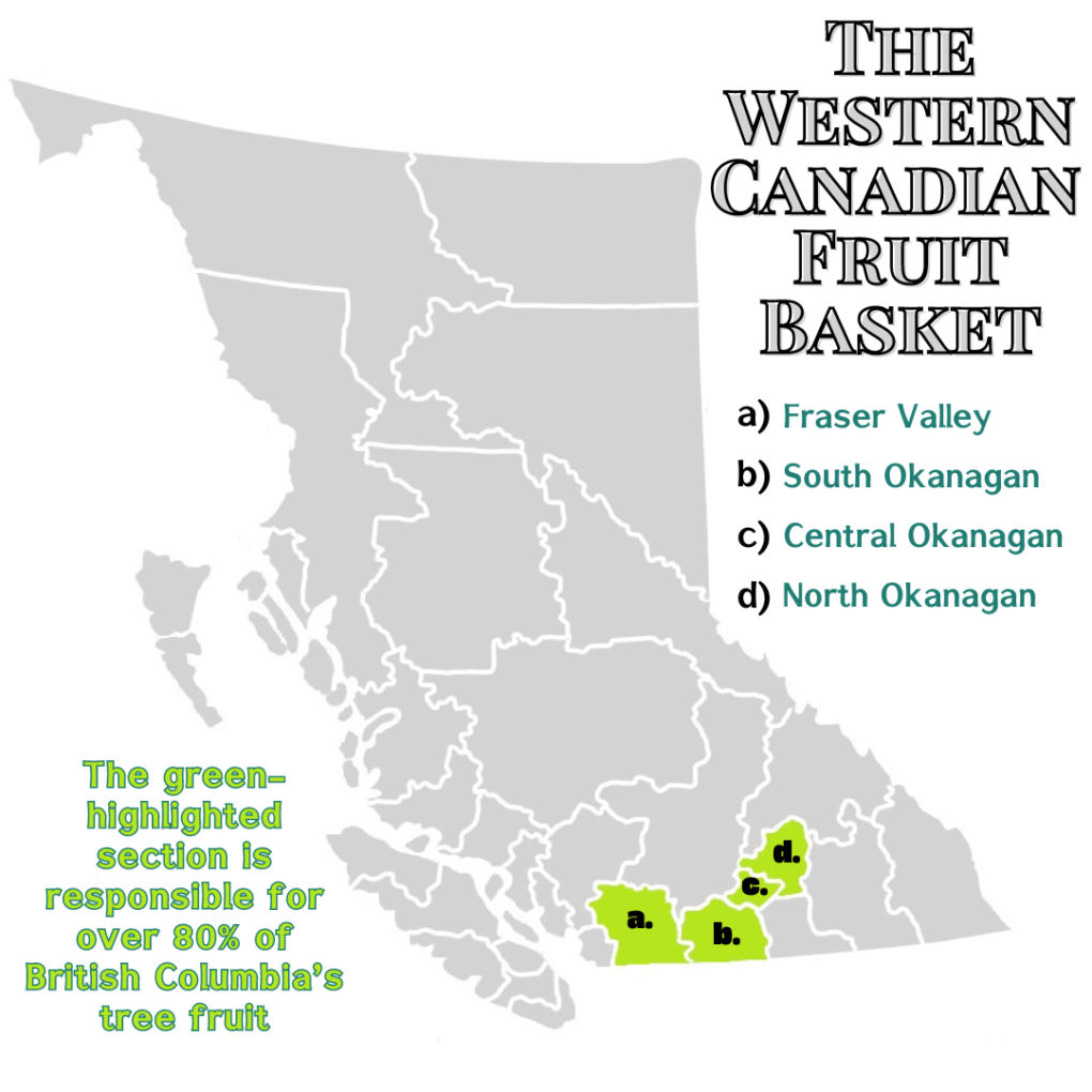 Western Canadian Fruit Basket - responsible for over 80% of British Columbia's tree fruit