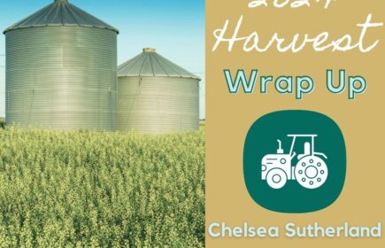 2024 Harvest Wrap-up!