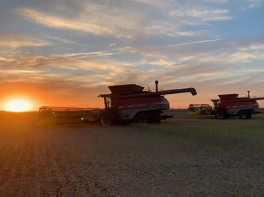 https://dashboard.saskatchewan.ca/agriculture