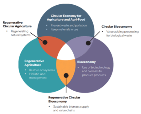 Shared values of circular economy, regenerative agriculture, and the bioeconomy in the agri-food industry