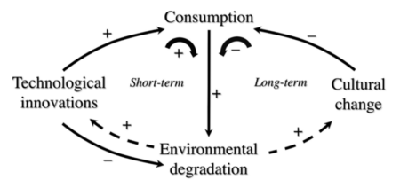 Sustainability Inexperience: Is the Environment Enough? 1