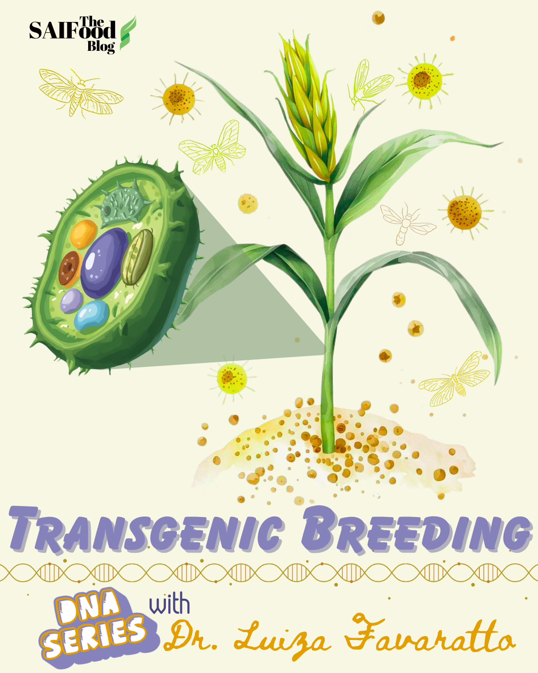 DNA Series: Transgenic Breeding by Dr. Luiza Favaratto; a wheat plant with a zoomed in illustration of a plant cell, surrounded by winged insects