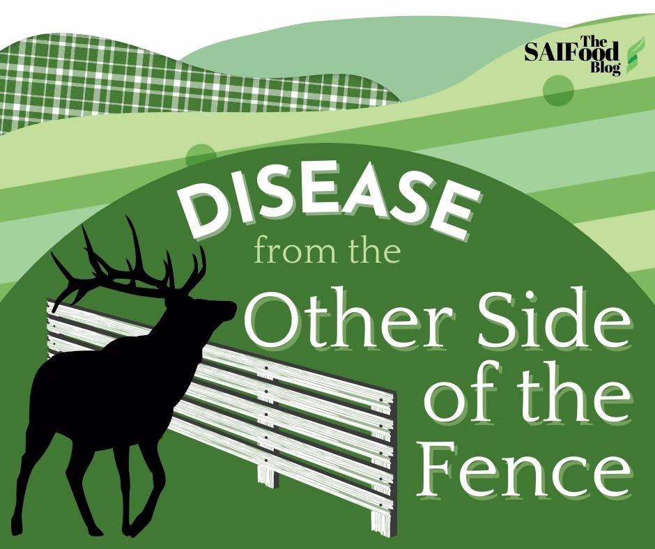 "Disease from the other side of the fence" next to an elk silhouette on a series of green-patterned hills