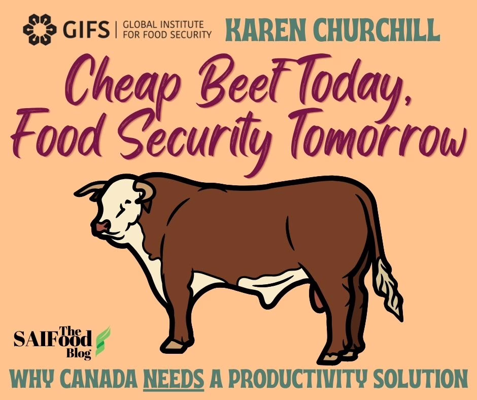 Cheap Beef Today, Food Security tomorrow