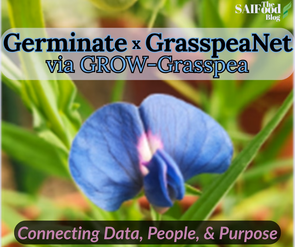 Germinate x GrasspeaNet via GROW-Grasspea