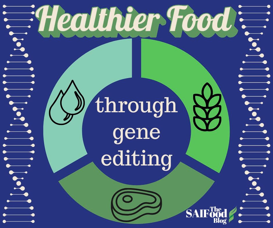 "Healthier food through gene editing" surrounding a three-way donut graph of water, wheat, and protein, surrounded by DNA strands. The SAIFood Blog