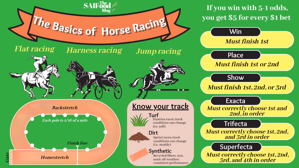 Horse Racing Crash course