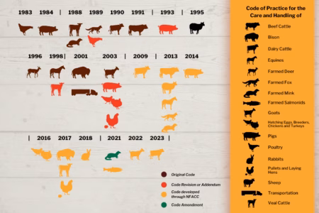 History of Canada's development of Codes of Practice for the Care and Handling of various animal species (1983-2025)