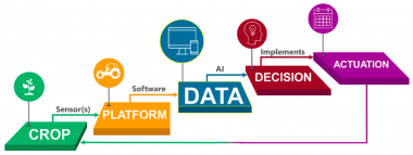 flow chart of data-based decision making