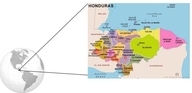Honduras GM corn