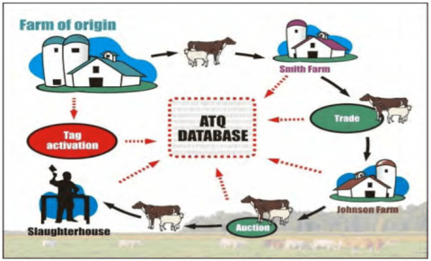 Livestock traceability in Canadian Agriculture